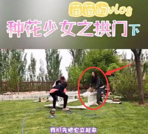 苗苗最新爆料房子租的,揭秘租房背后的故事 第3张 苗苗最新爆料房子租的,揭秘租房背后的故事 第3张